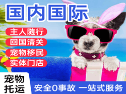 包头航空货运国际宠物托运 【国